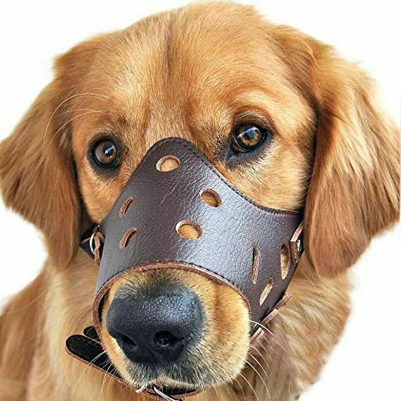 Breathable mesh & leather dog muzzle for comfortable control. Ideal for anti-bite training & pet safety.