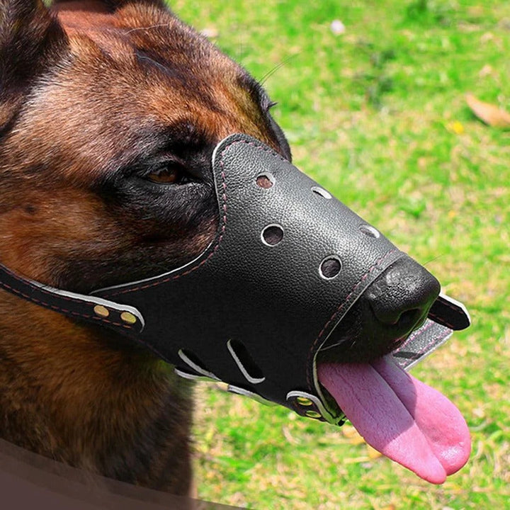 Adjustable anti-bite dog muzzle prevents biting during walks & training. Ensures safety, allows panting.