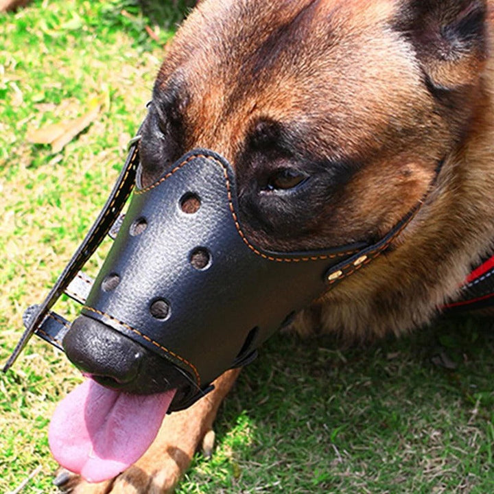Durable dog muzzle with breathable mesh panel & adjustable leather straps for comfortable behavior control.