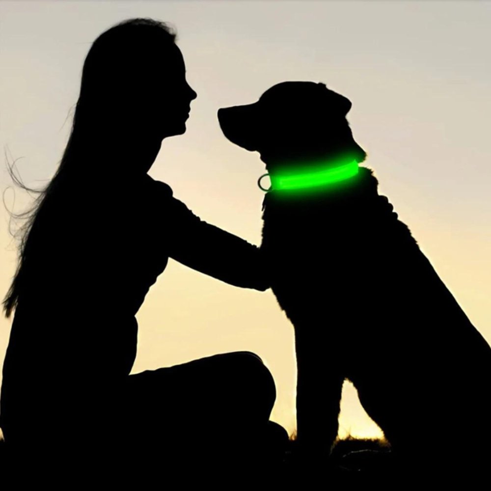 Secure AirTag dog collar with integrated LED light for reliable GPS tracking and pet safety.