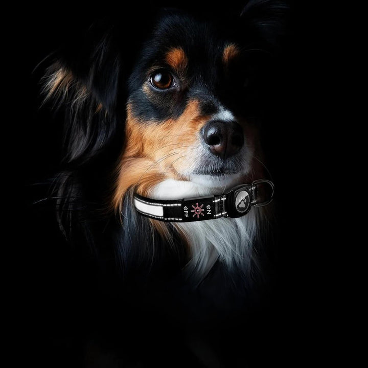 Unisex LED AirTag dog collar, designed for ultimate pet safety and visibility in low light.