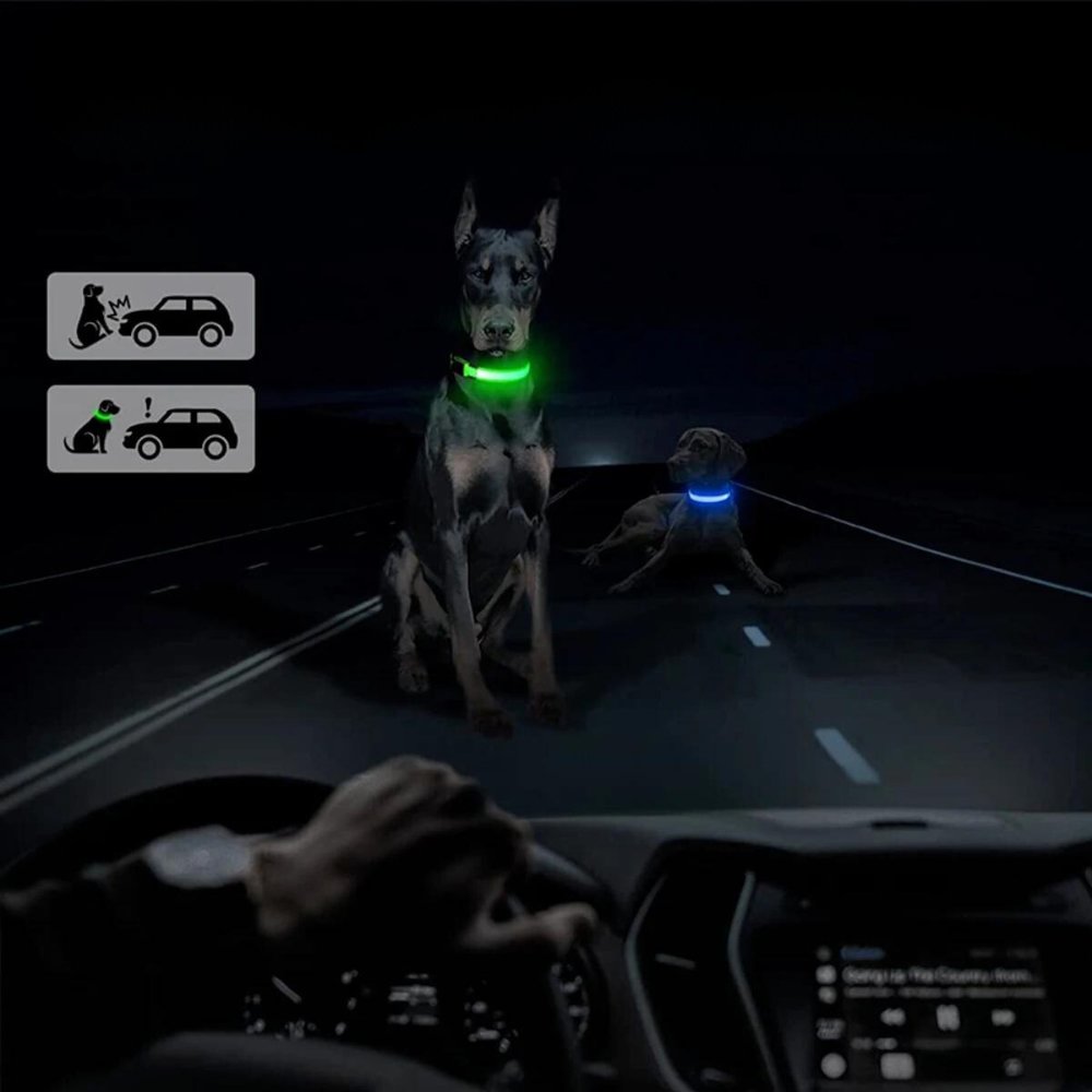 Waterproof LED dog collar with secure AirTag holder for GPS tracking and enhanced visibility.