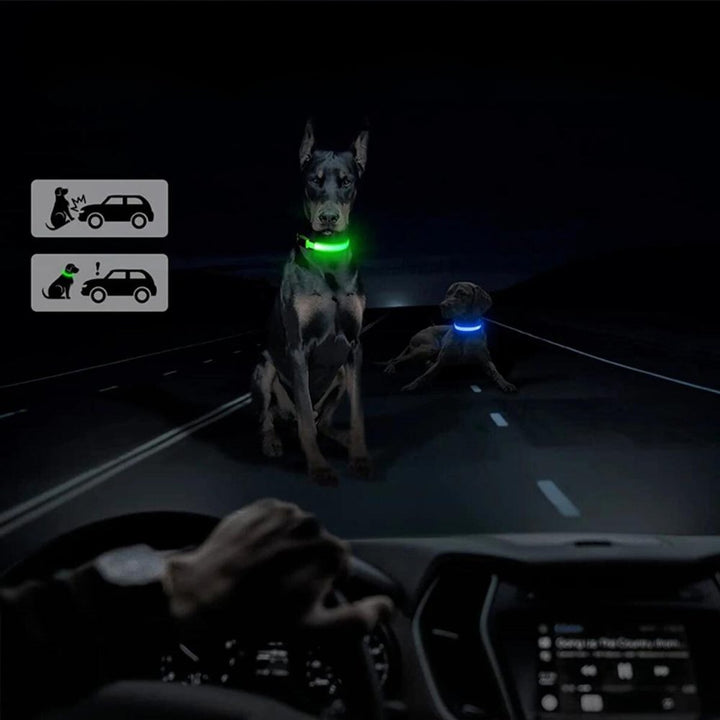 Waterproof LED dog collar with secure AirTag holder for GPS tracking and enhanced visibility.