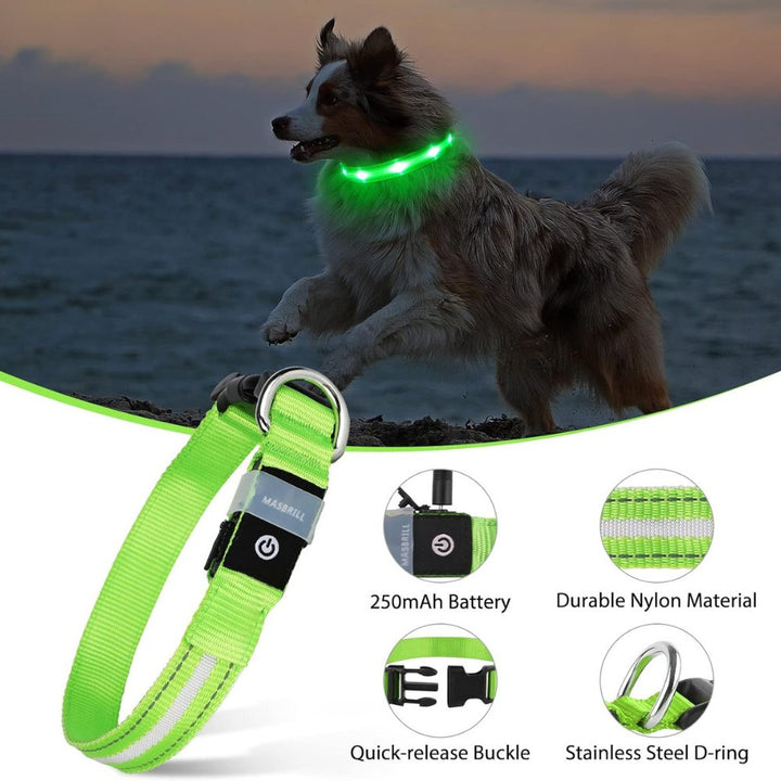 Bright, waterproof LED AirTag dog collar, a secure pet accessory for visible and safe adventures.