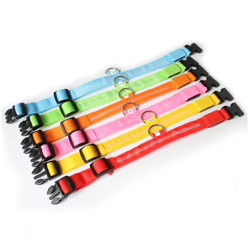 GlowCollar LED dog collar for enhanced nighttime safety. Rechargeable & visible pet accessory for dogs.