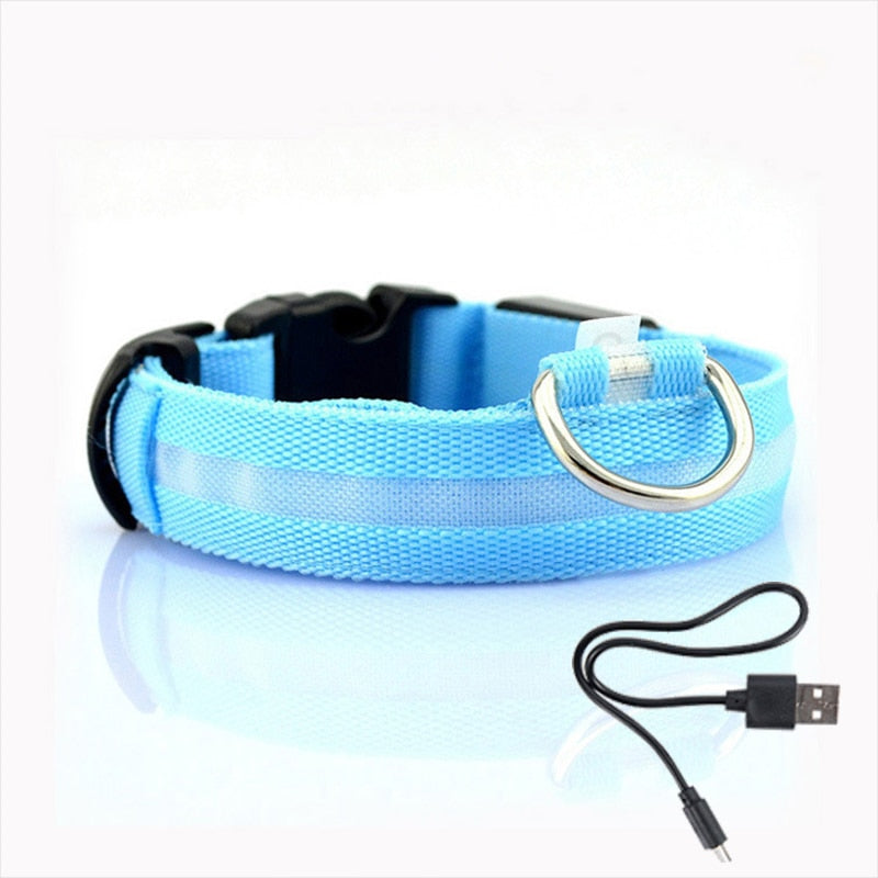 Durable LED dog collar with reflective elements for safe night walks. Rechargeable pet gear, high visibility.