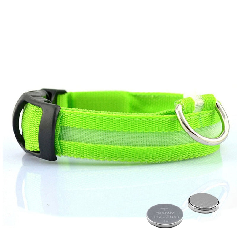 Comfortable LED dog collar improves pet visibility & safety during evening strolls. Rechargeable & bright.