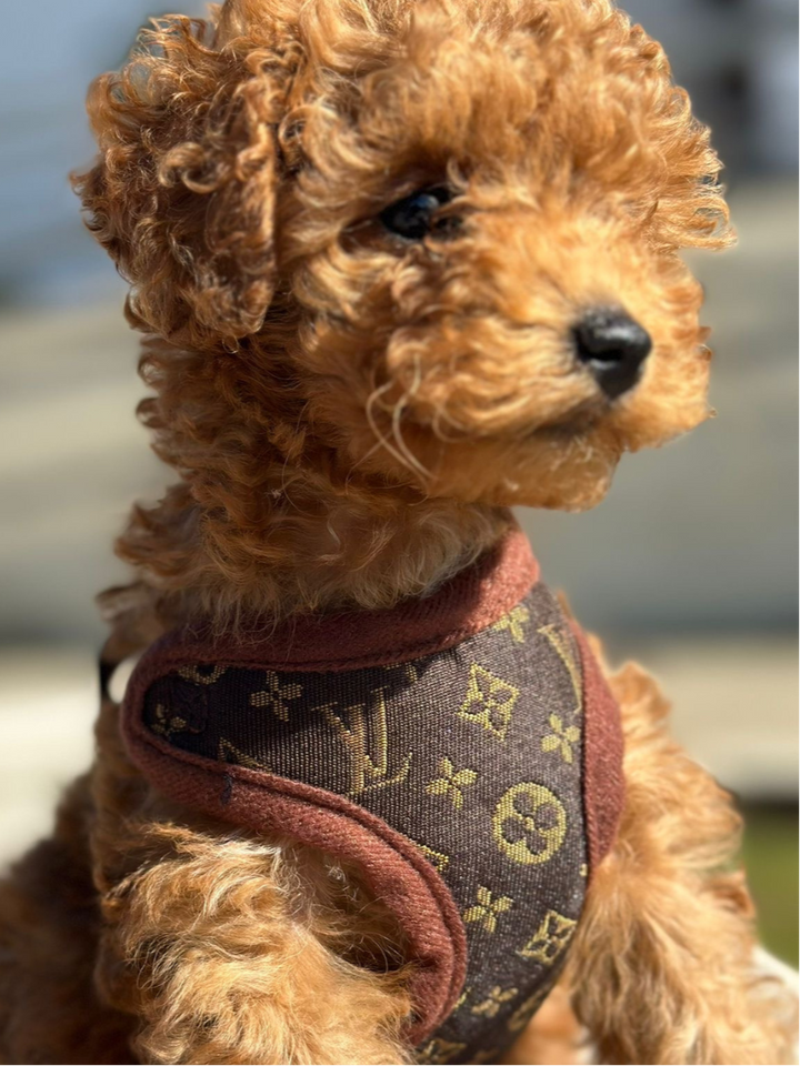 No-pull dog harness & leash set in brown. Comfortable & adjustable for medium dogs, enhancing control.