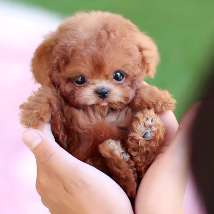 Brown & white interactive walking puppy robot toy for kids, a lifelike electronic pet companion.