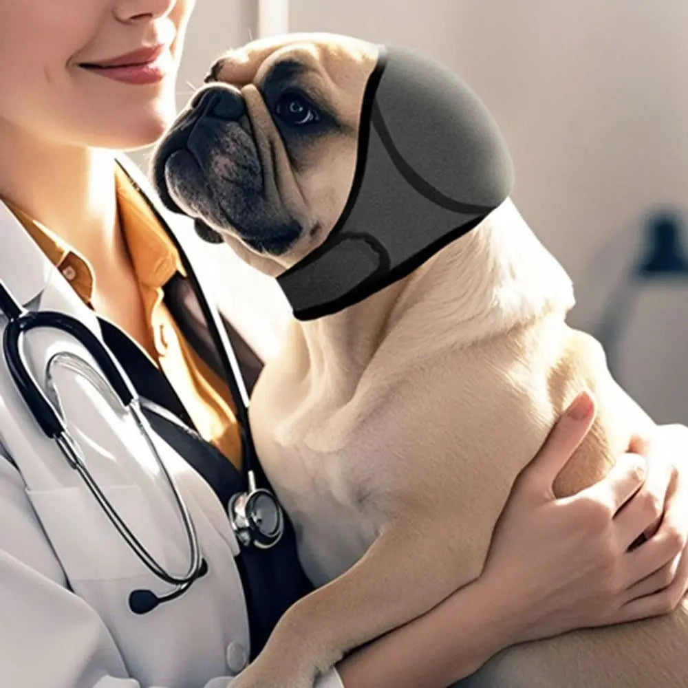 Calming dog earmuffs provide noise reduction & anxiety relief for pets during fireworks, thunderstorms, grooming.