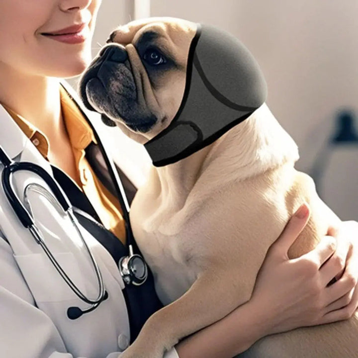 Calming dog earmuffs provide noise reduction & anxiety relief for pets during fireworks, thunderstorms, grooming.
