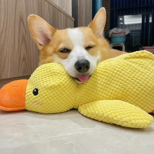 Durable calming duck chew toy for dogs. Aids anxiety relief & provides pet enrichment.