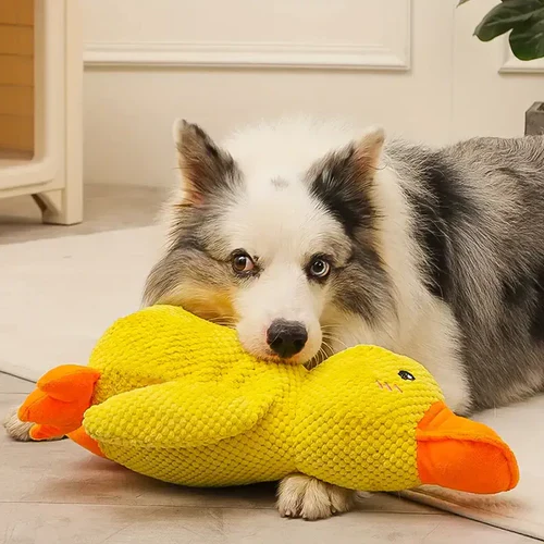 Interactive squeaky duck dog toy, a calming pet toy for anxiety relief & playful chewing.