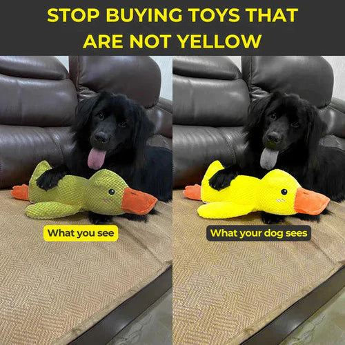 Soft calming duck dog toy for anxiety relief. A durable chew & squeaky pet toy for enrichment.