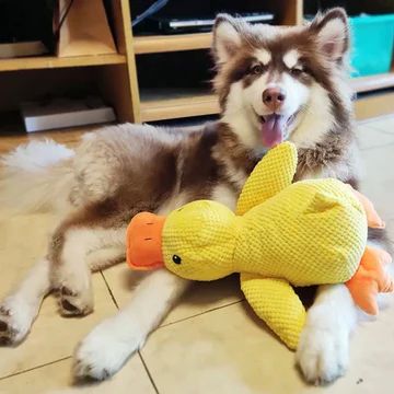Calming duck dog toy, a durable chew toy for pet anxiety relief & dog enrichment. Squeaky fun!