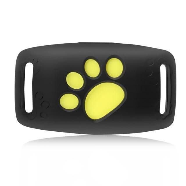 Black cat wearing a small, lightweight GPS tracker on its collar for real-time location & lost cat prevention.
