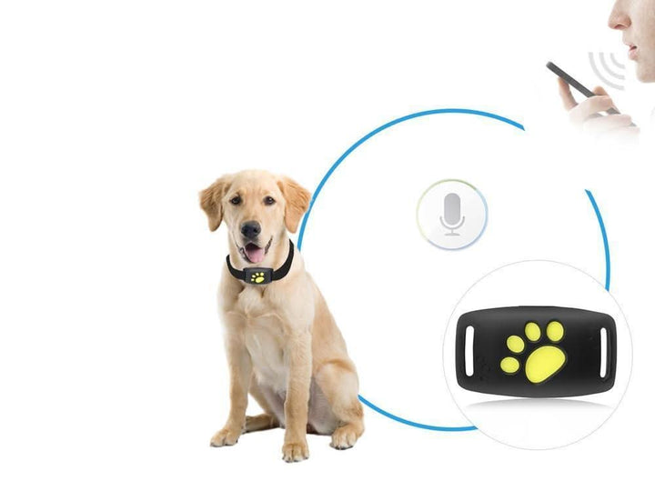 Smartphone screen displaying real-time cat GPS tracking map with pet's location, ensuring pet safety without subscription.