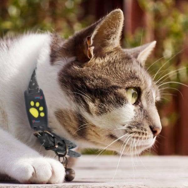 Compact Cat GPS Tracker connected to its charging cable, ready for long-lasting real-time pet tracking without fees.