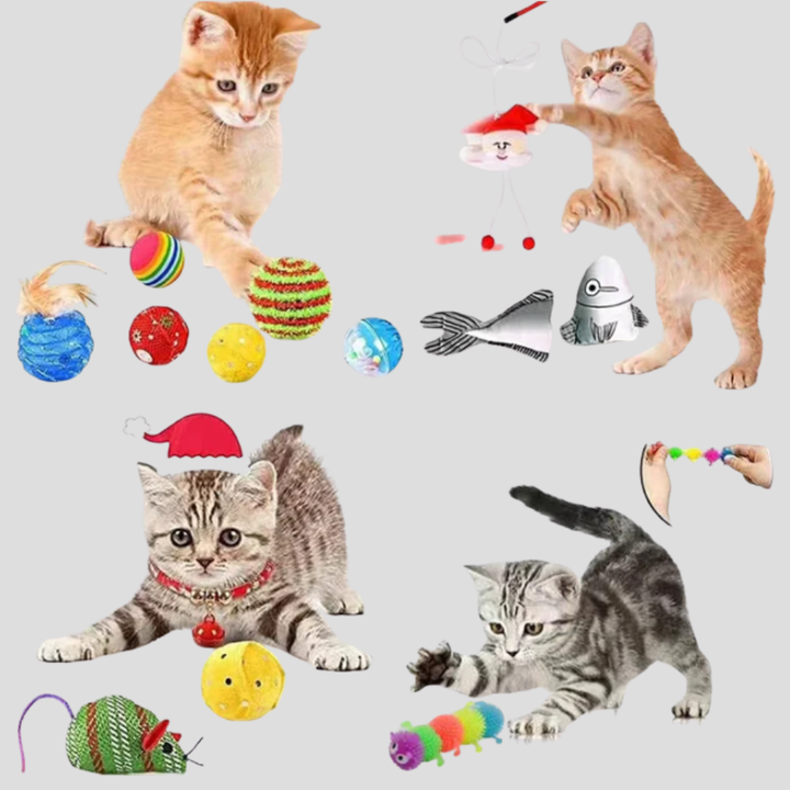 Holiday Cat Toy Advent Calendar, a pet gift box filled with various interactive toys for daily feline joy.