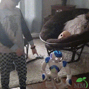 Interactive educational robot for young learners, a comprehensive STEM toy experience.
