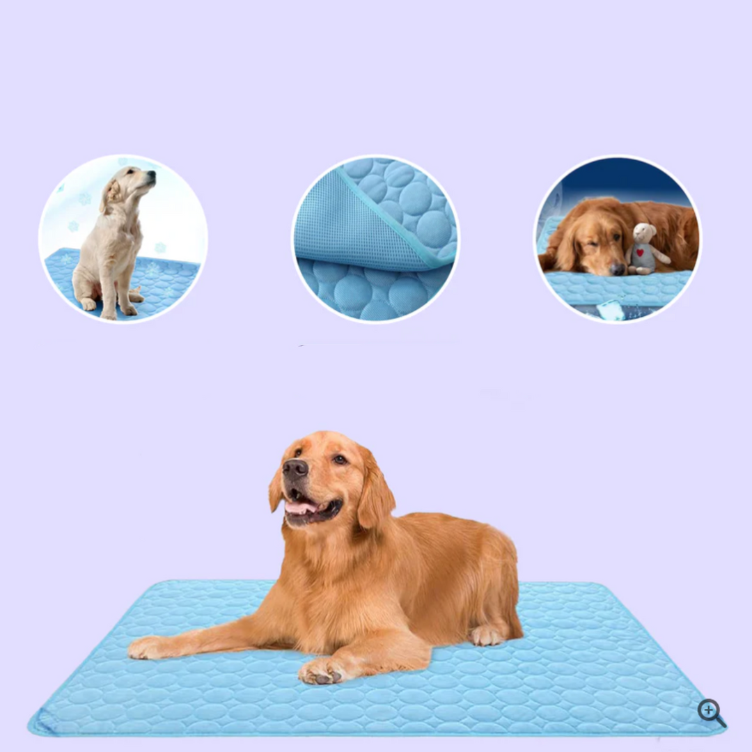 ChillComfort light blue 4x cooling mat for dogs, offering ultimate comfort & heat relief this summer.