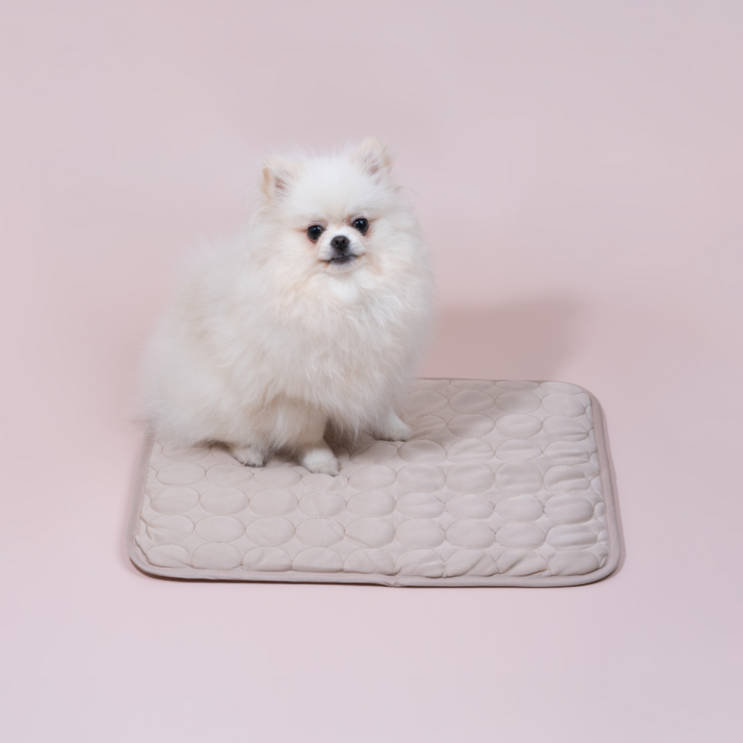 Dog enjoying the 4x cooling power mat in light blue, for ultimate comfort & heat relief during summer.