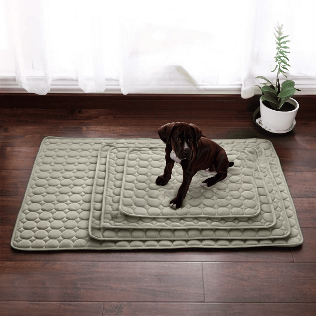 High-performance light blue ChillComfort 4x cooling mat for dogs, ensuring superior heat relief.