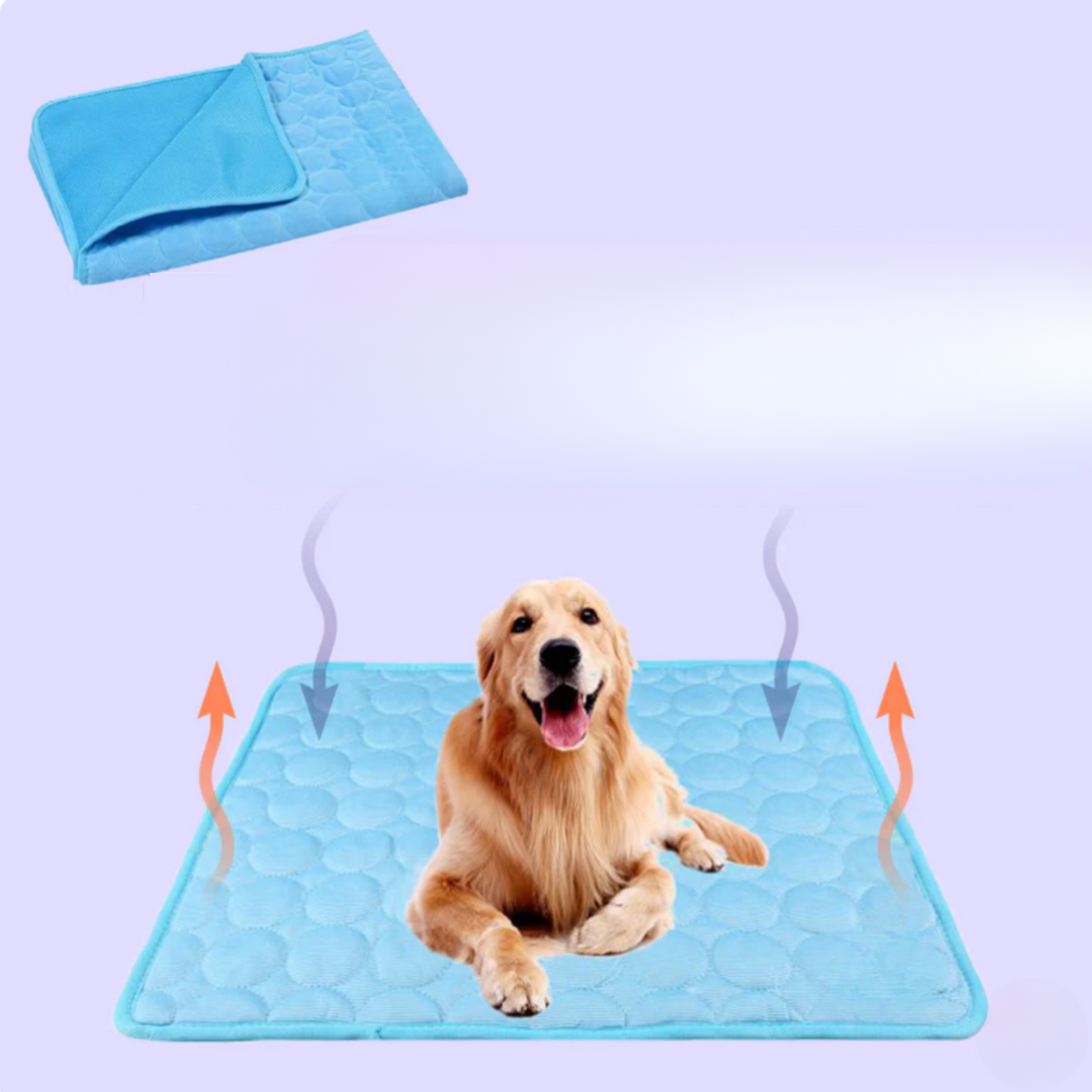 Essential pet accessory: light blue 4x cooling mat for dogs' ultimate comfort & summer heat relief.
