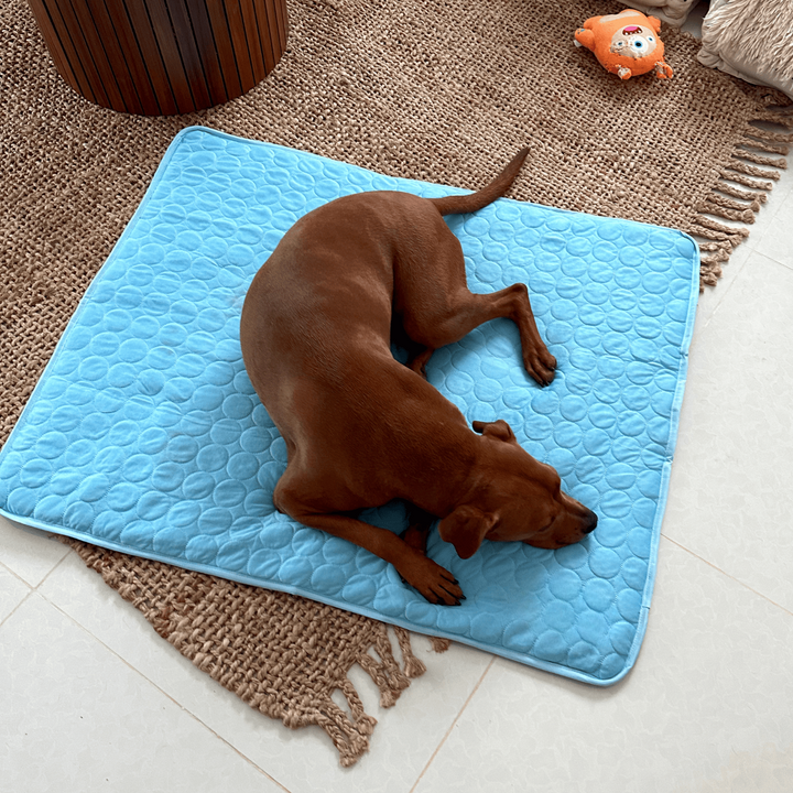 Durable light blue 4x cooling power mat for dogs, ensuring ultimate comfort & hot weather relief.