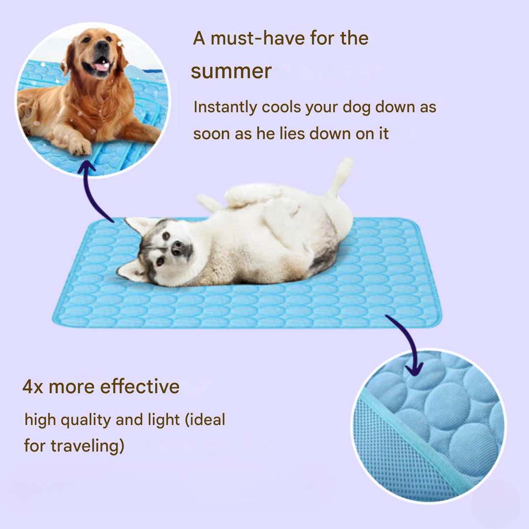 Ultimate comfort for dogs: light blue 4x cooling mat provides effective heat relief during summer.