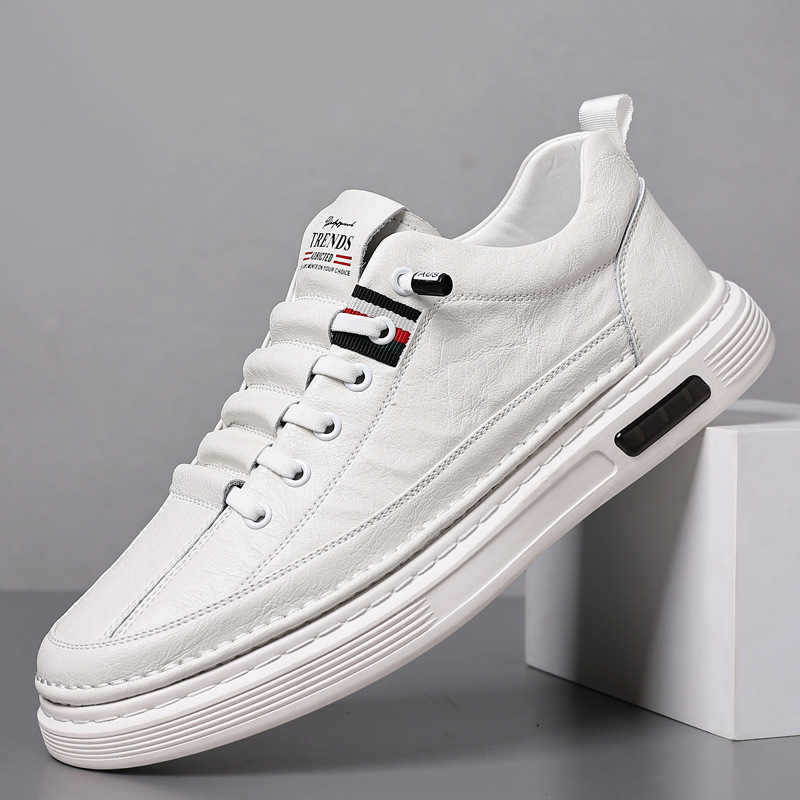 Lace-up men's classic low-top sneakers in a sleek design. Perfect casual shoes for comfortable everyday wear.