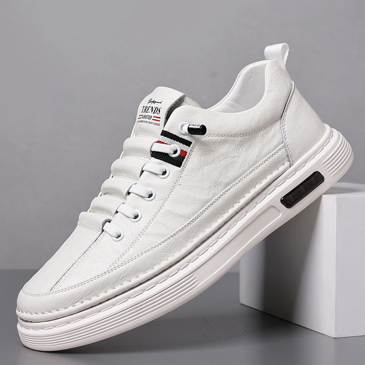 Lace-up men's classic low-top sneakers in a sleek design. Perfect casual shoes for comfortable everyday wear.