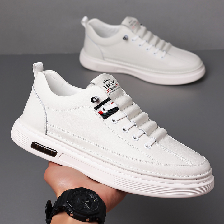 Classic men's casual low-top sneakers. Comfortable lace-up everyday footwear for walking and men's fashion.