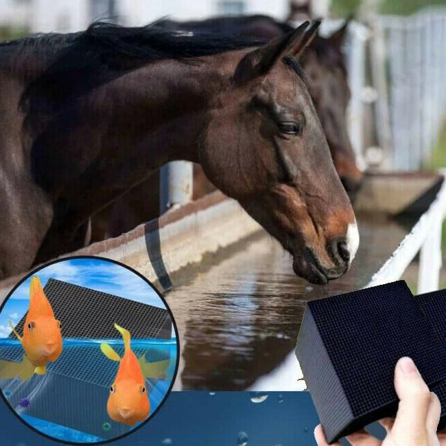 Clean Water Bio Cube for livestock, aquariums, & horse troughs, ensuring clear, healthy water & algae control.
