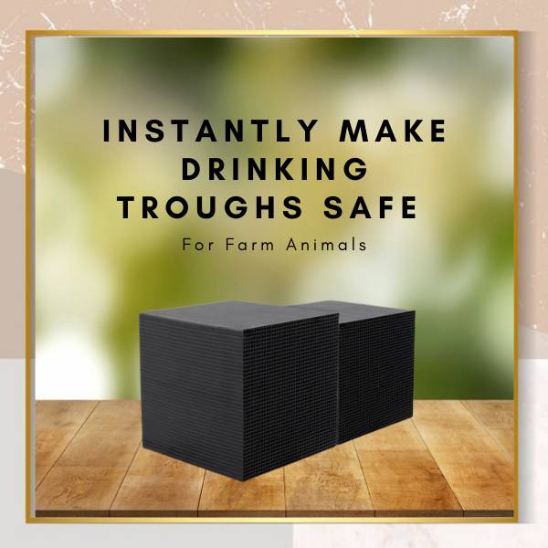 Effective bio cube water purifier for algae control in horse troughs, livestock water, & aquariums, providing clean, healthy water.