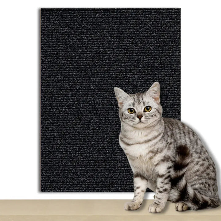 Protect your home with this anti-scratch cat protector film.