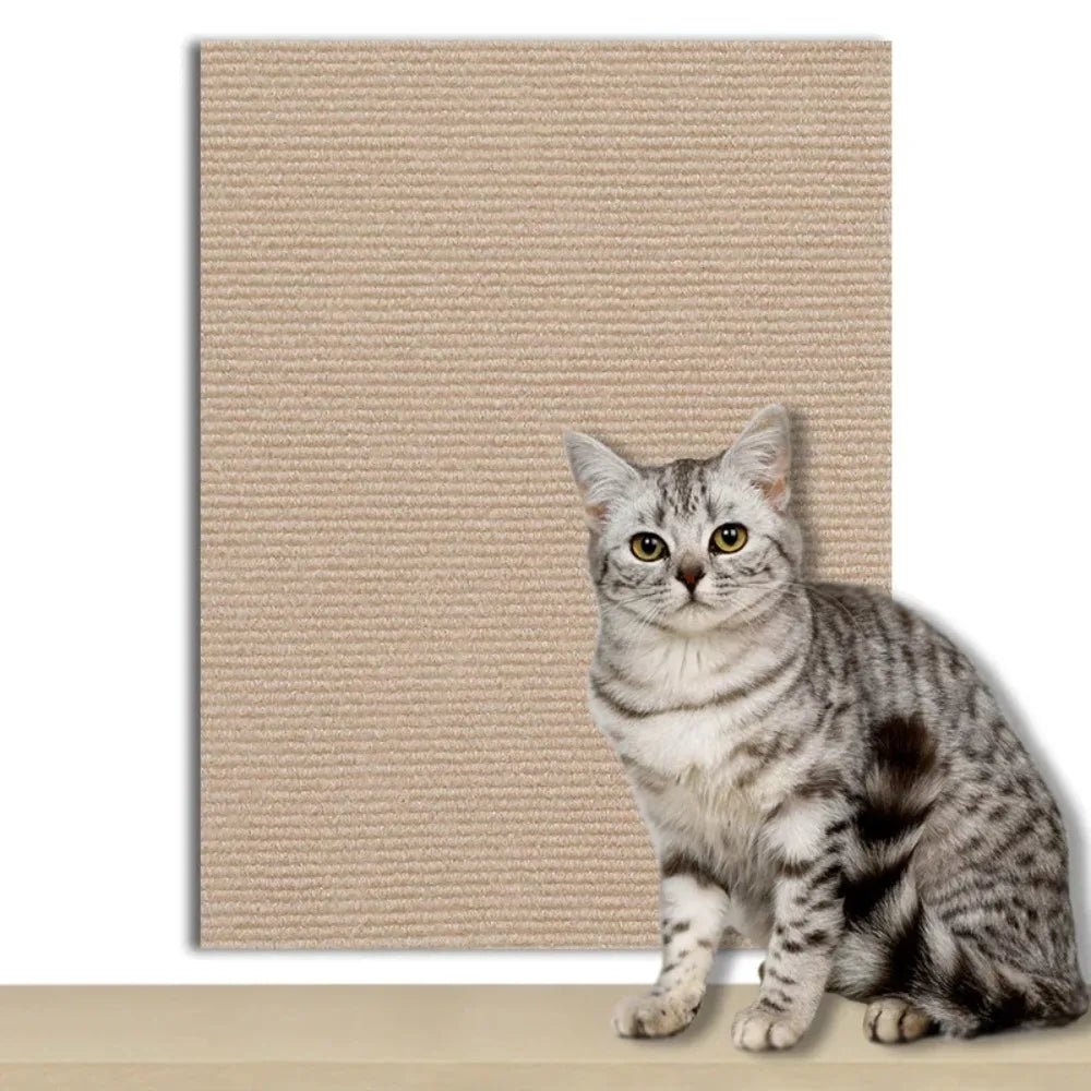 Sofa protection from cat claws with clear, self-adhesive film shield.
