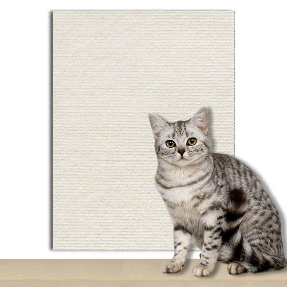 Easy-to-apply cat scratch film for furniture and carpets, pet-safe.