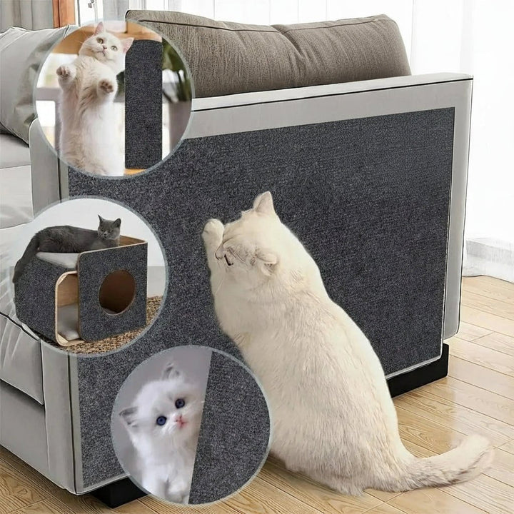 Cat wall protector shield for home, transparent & effective.