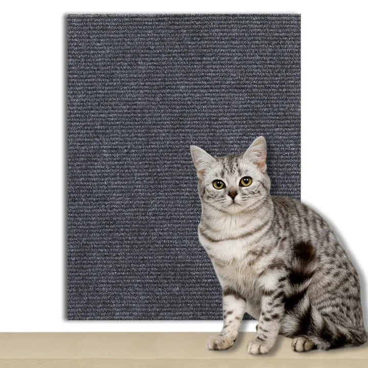 Furniture shield against cat scratches, transparent self-adhesive.