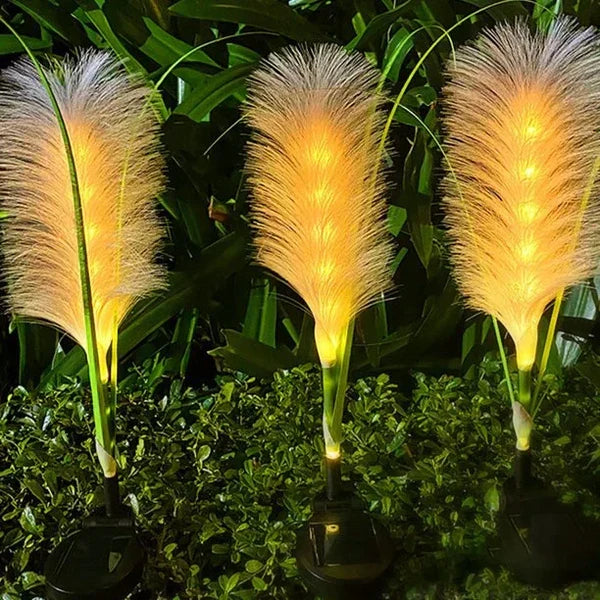 Sustainable reed-style solar pathway lights, perfect for eco-friendly garden lighting.