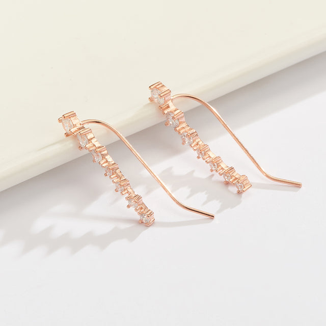Pair of elegant women's sparkling dangle earrings with clear gemstones.