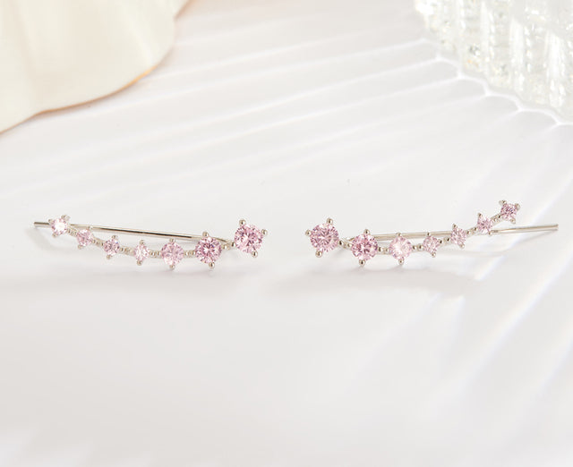 Chic women's accessory: sterling silver sparkling dangle earrings.