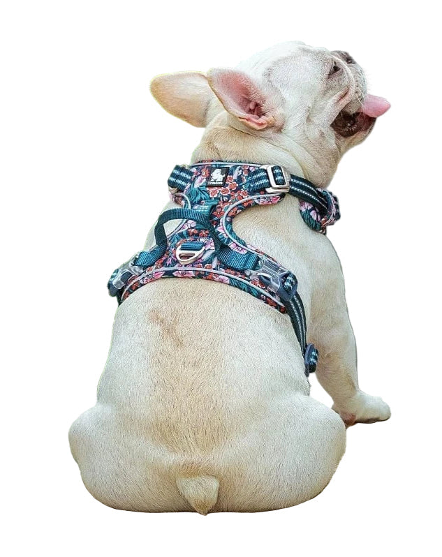 Comfortable dog harness for all sizes, durable pet walking gear; Vendo brand
