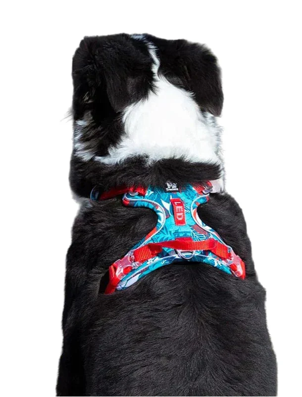 Adjustable dog harness, black, with metal buckles for secure pet walking