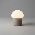 Pebble Taupe