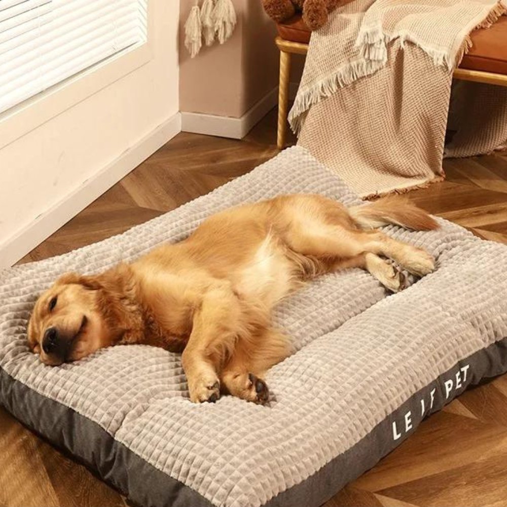 Washable gray fleece pet bed, ultra-soft for dogs & cats, ensuring easy cleaning and lasting comfort.