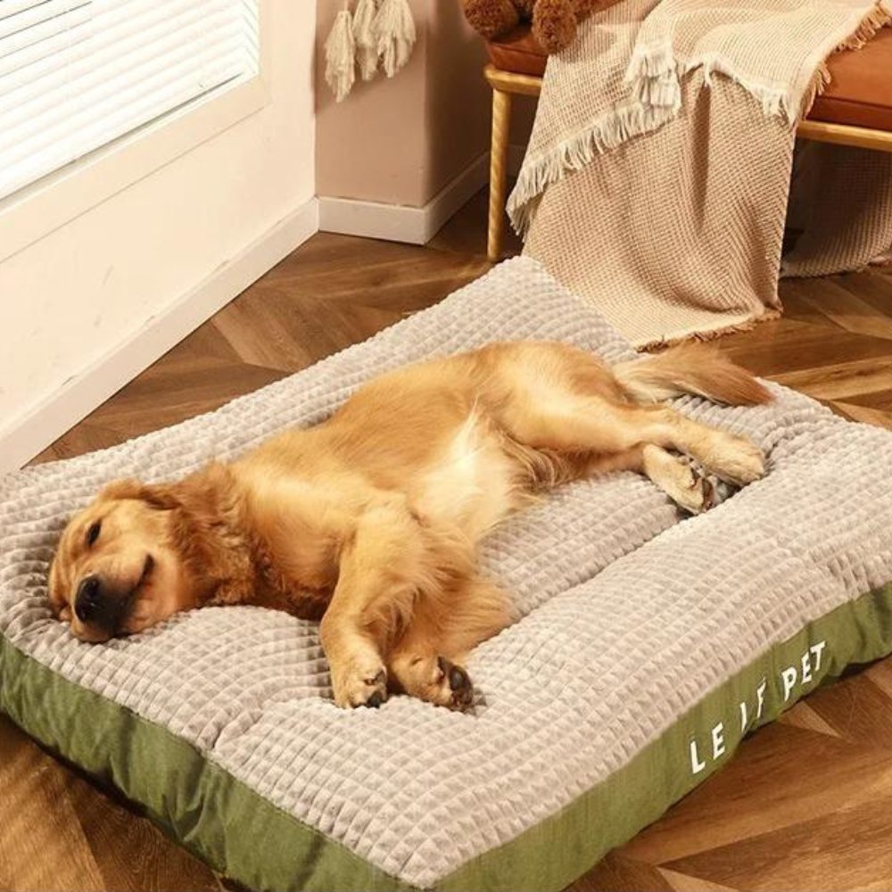 Plush fleece dog bed provides cozy warmth & ultimate comfort for your pet's restful sleep & relaxation.