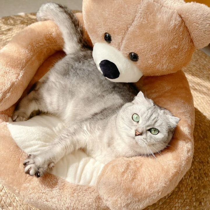 Cuddly cat bed, an adjustable plush sanctuary offering soft support for feline friends.