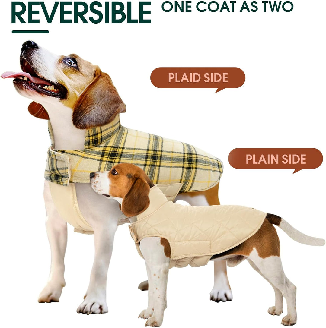 Dog winter wear: reversible waterproof pet jacket, British style, red plaid pattern.